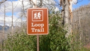 PICTURES/Glacier - The Loop Trail/t_Loop Trail Sign.JPG